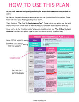 90 Days Instagram Plan - Fireflies
