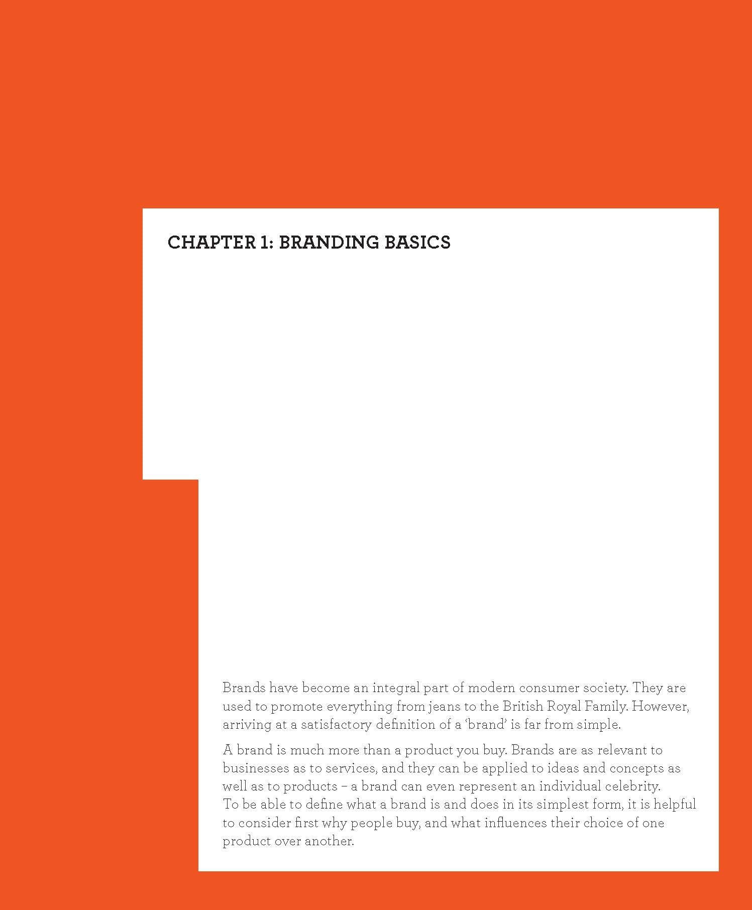 Creating Brand Identity - Fireflies