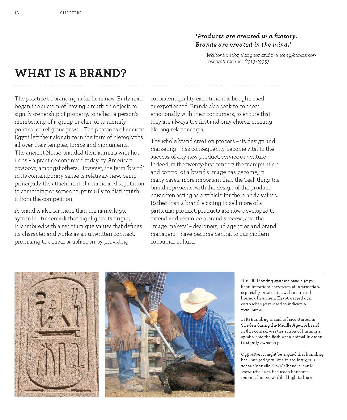 Creating Brand Identity - Fireflies