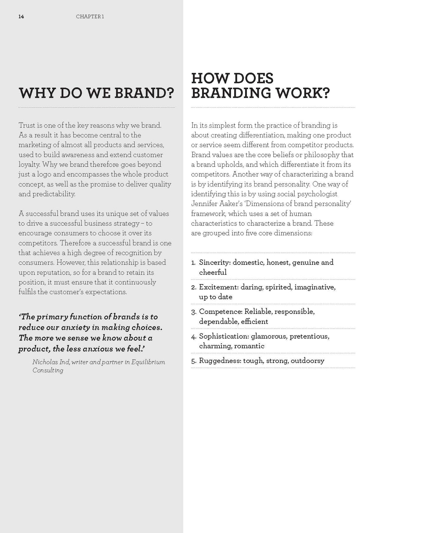 Creating Brand Identity - Fireflies