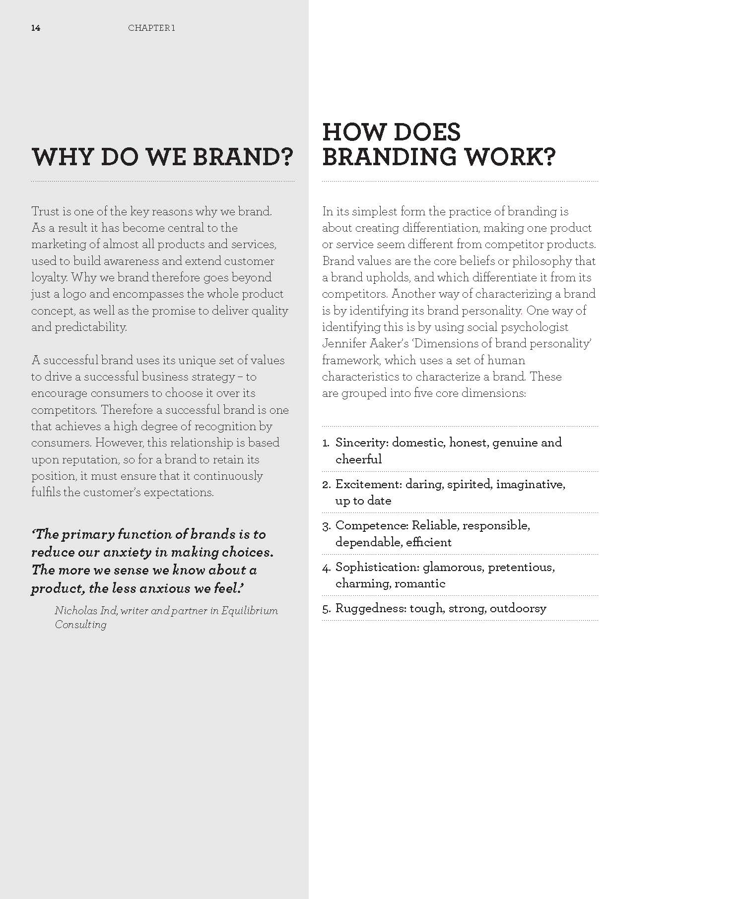 Creating Brand Identity - Fireflies