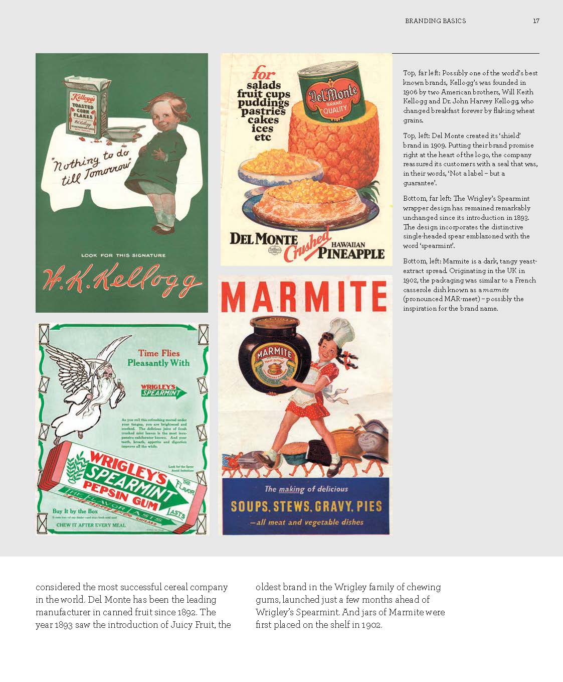 Creating Brand Identity - Fireflies