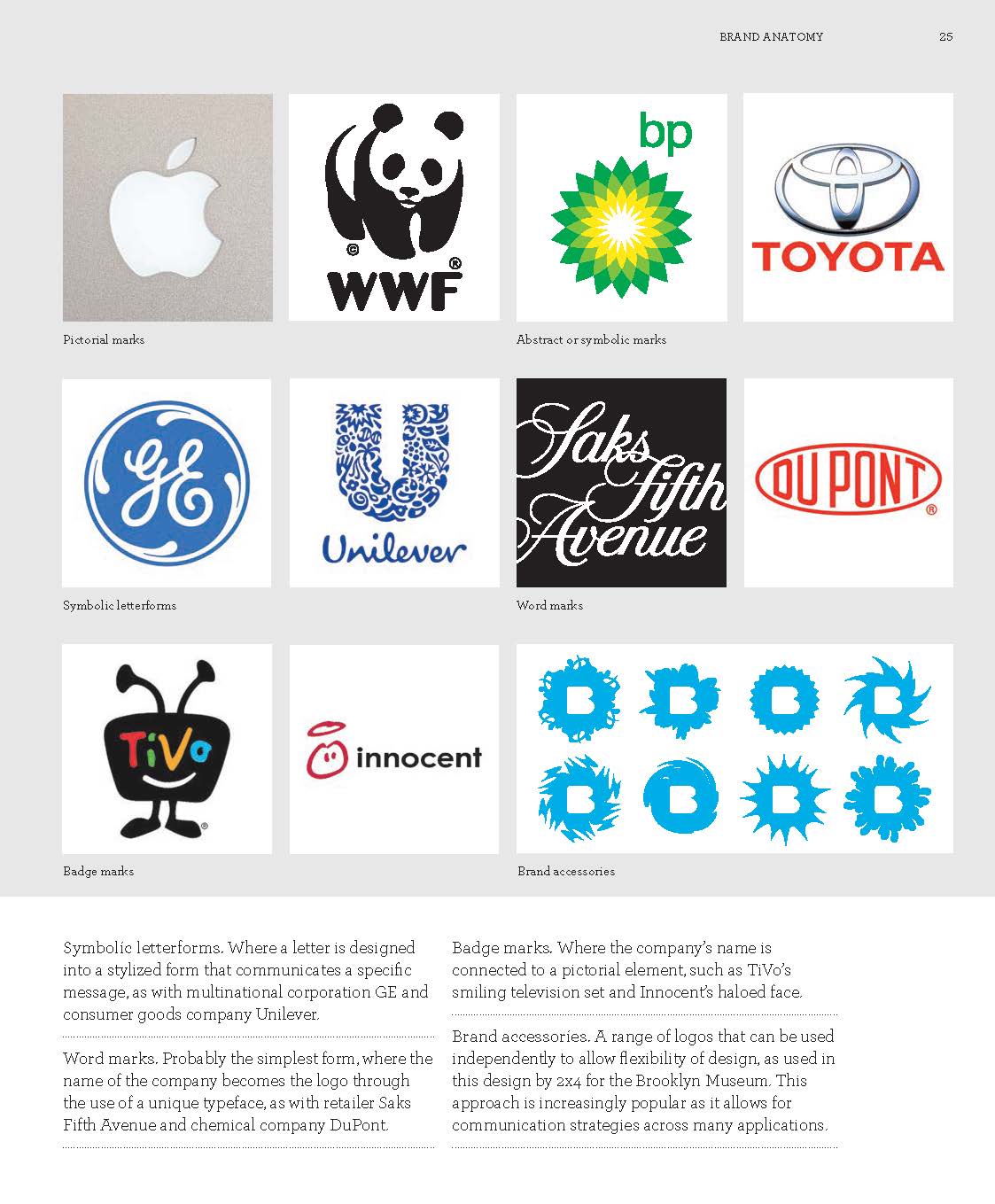 Creating Brand Identity - Fireflies