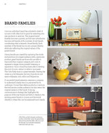 Creating Brand Identity - Fireflies