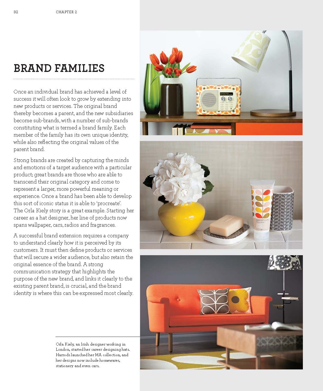 Creating Brand Identity - Fireflies