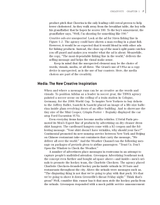 Creative Strategy in Advertising - Fireflies