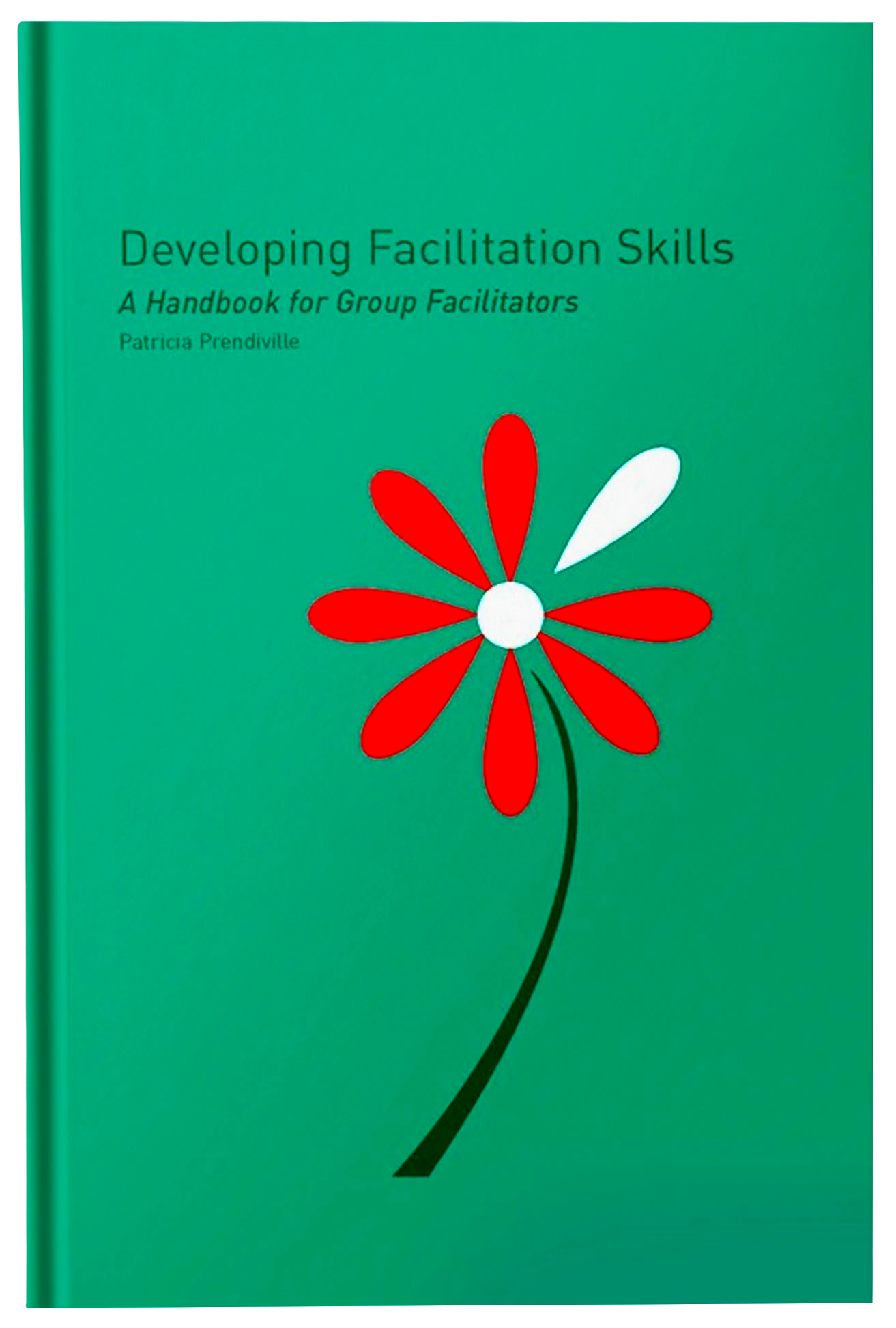 Developing Facilitation Skills - Fireflies