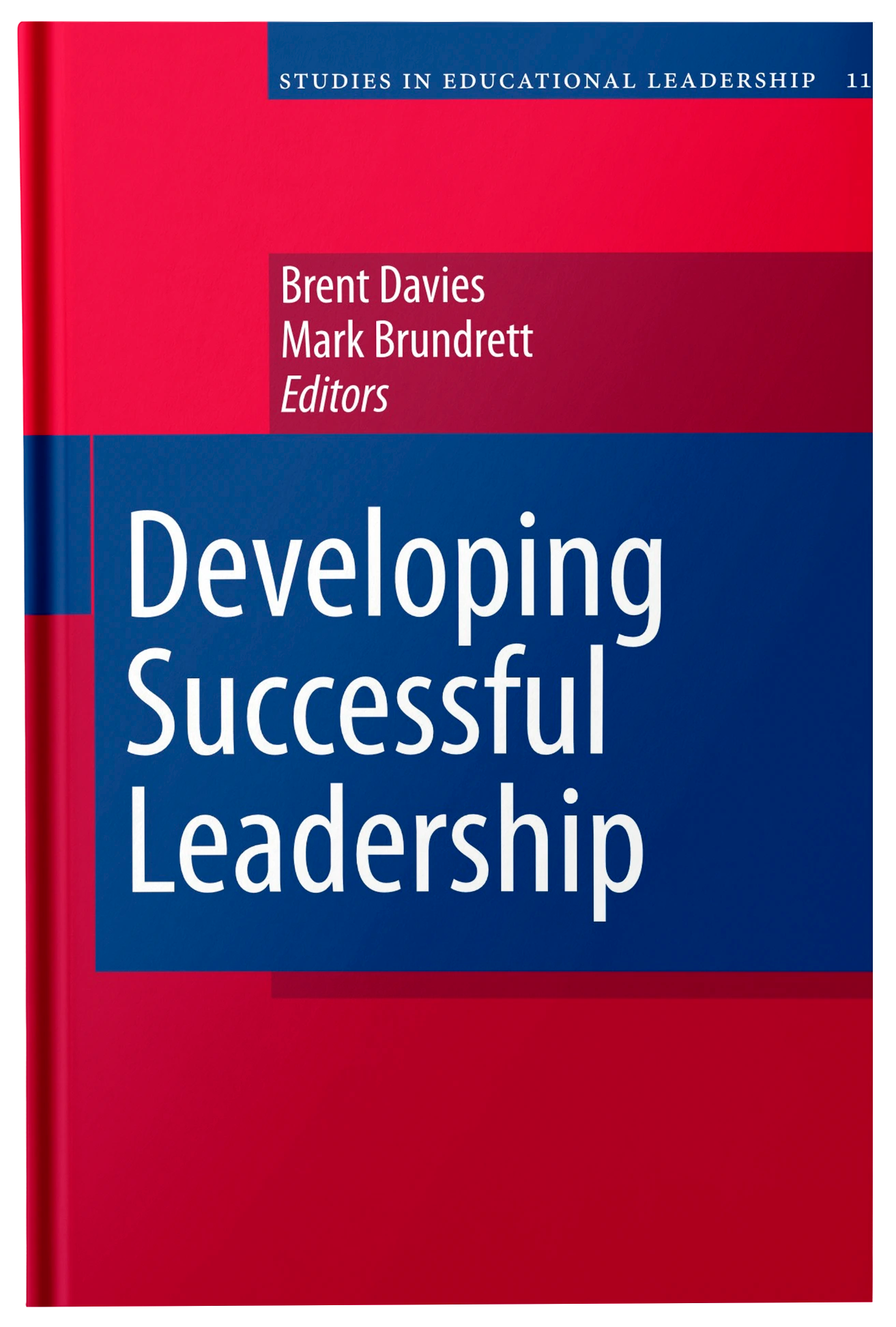 Developing Successful Leadership - Fireflies