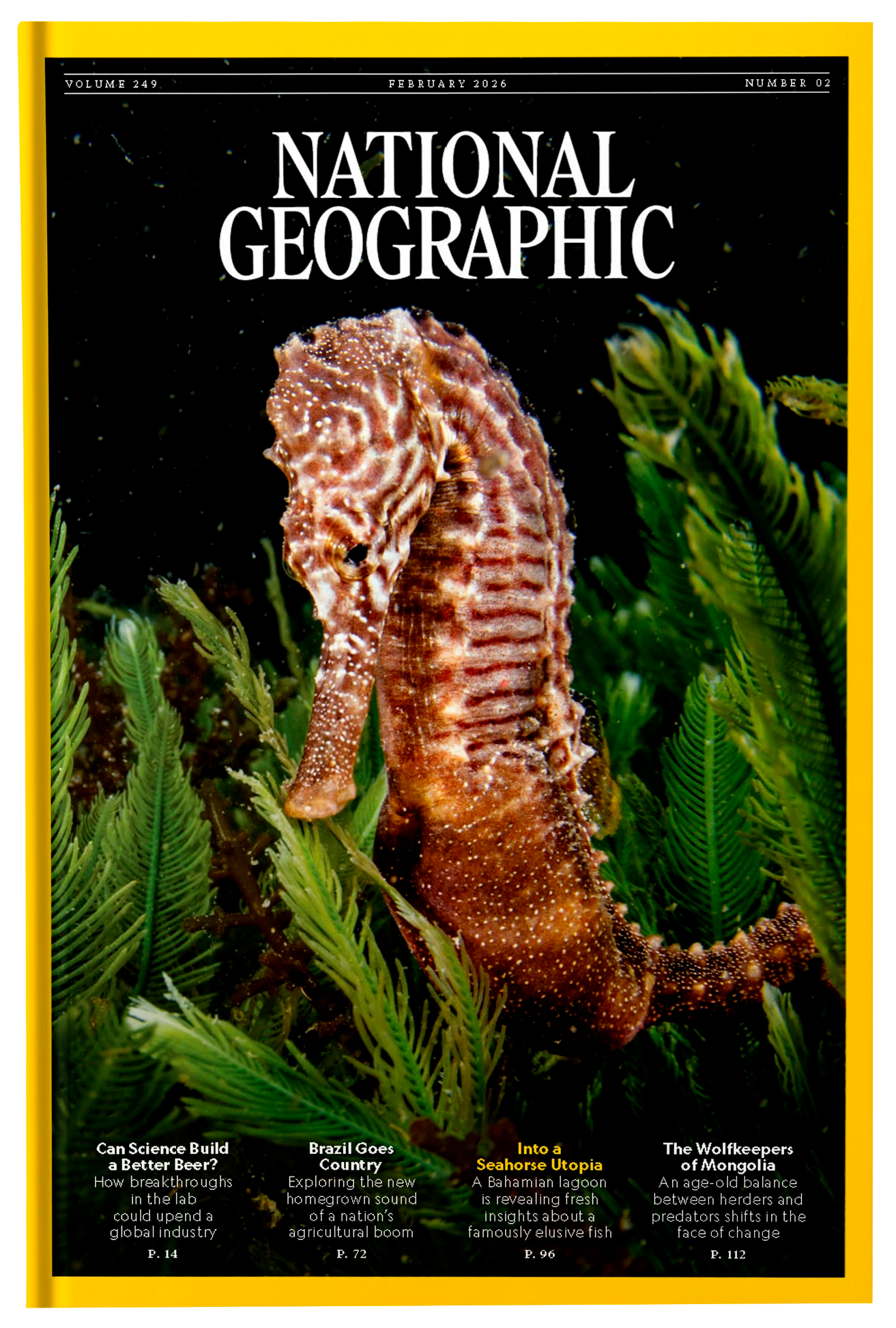 Fireflies National Geographic UK February 2026 eMagazine cover featuring stunning wildlife and nature photography.