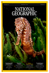 Fireflies National Geographic UK February 2026 eMagazine cover featuring stunning wildlife and nature photography.