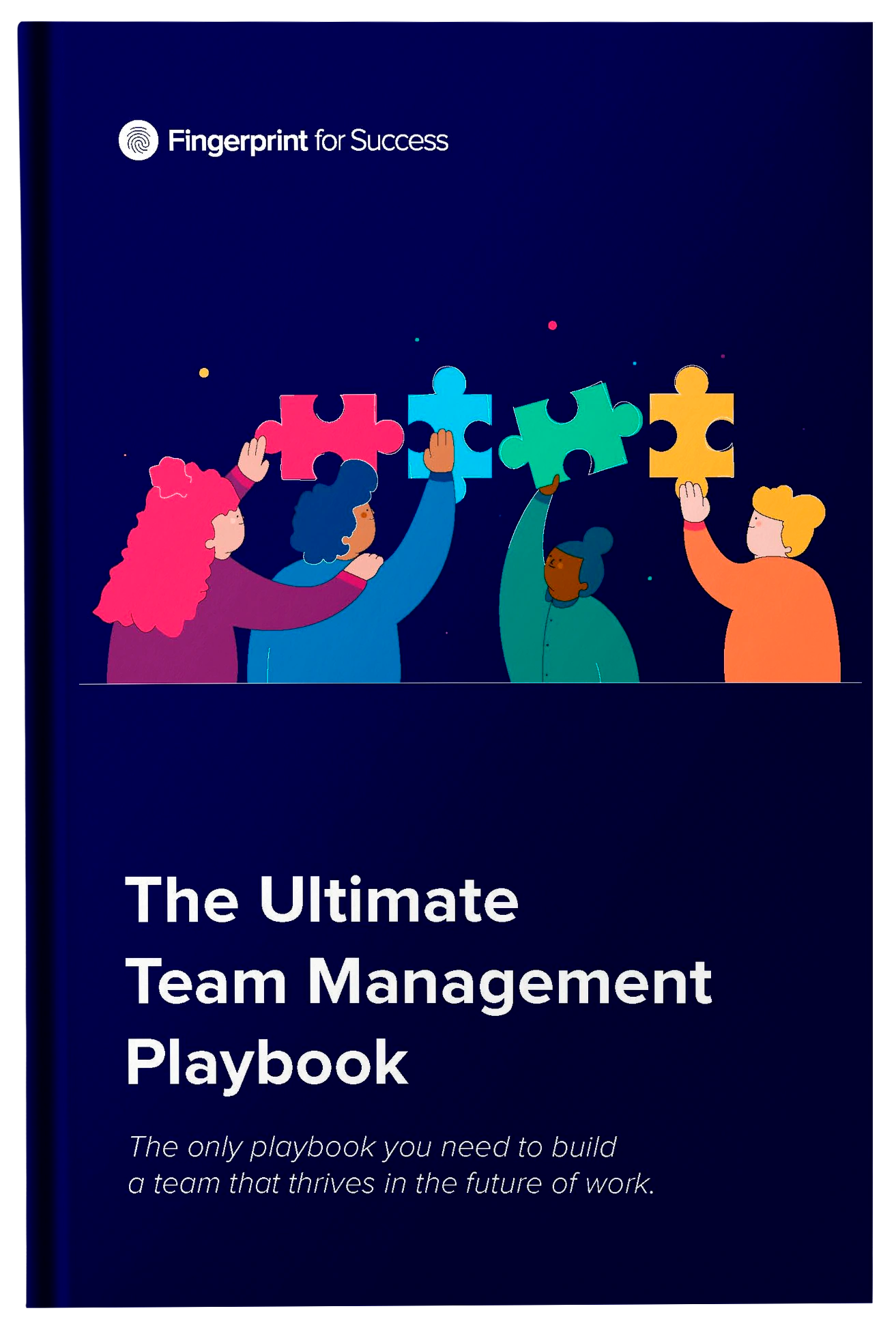 Team Management Playbook - Fireflies