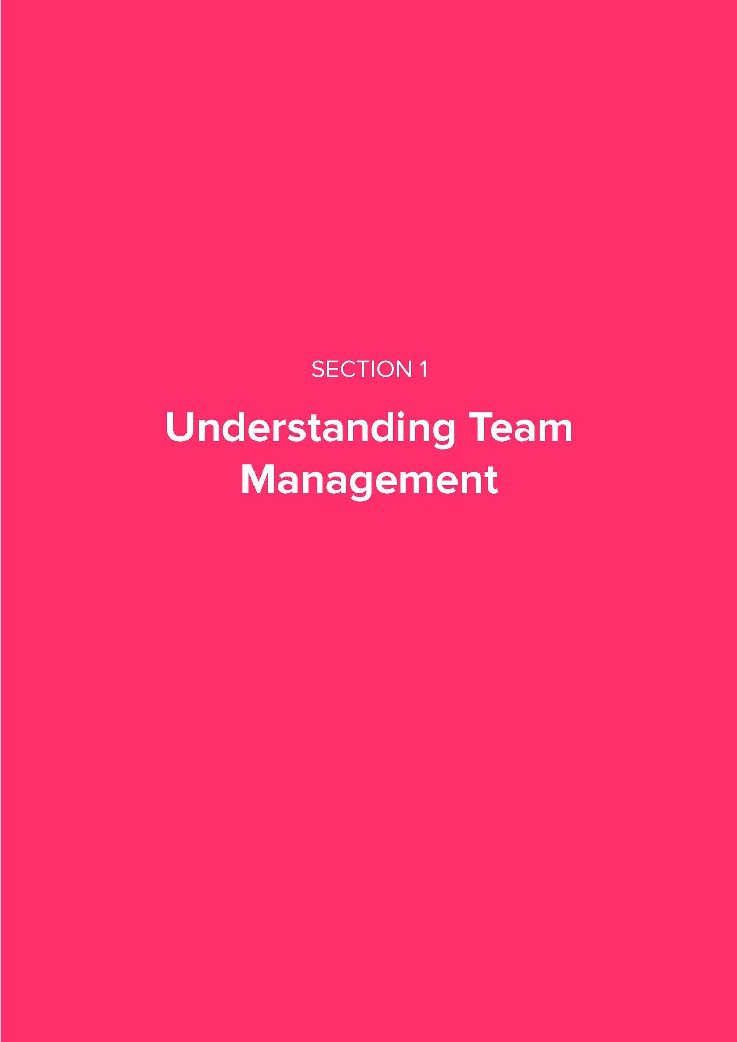 Team Management Playbook - Fireflies