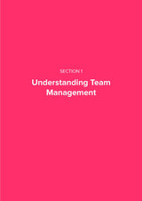 Team Management Playbook - Fireflies
