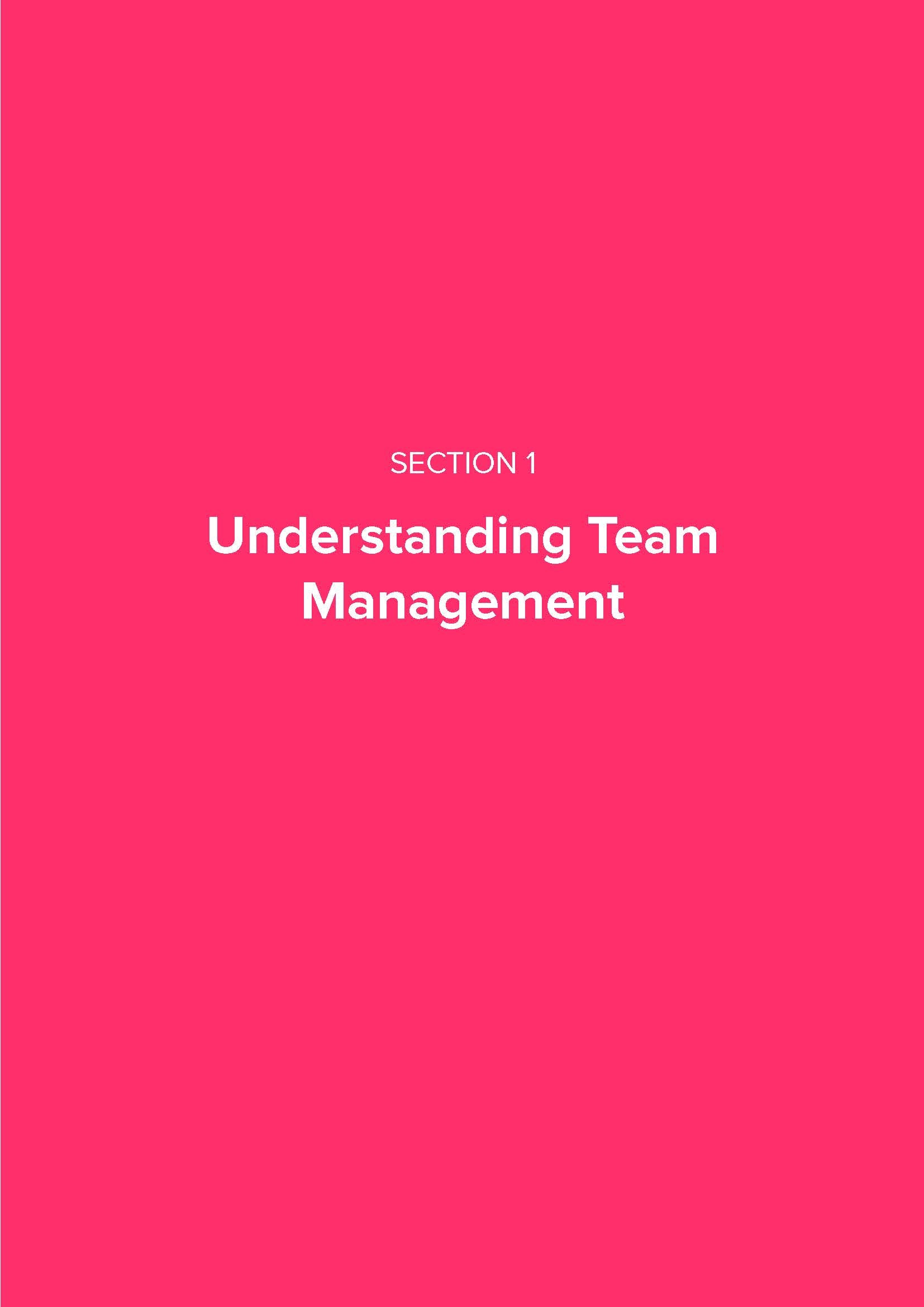Team Management Playbook - Fireflies