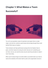 Team Management Playbook - Fireflies