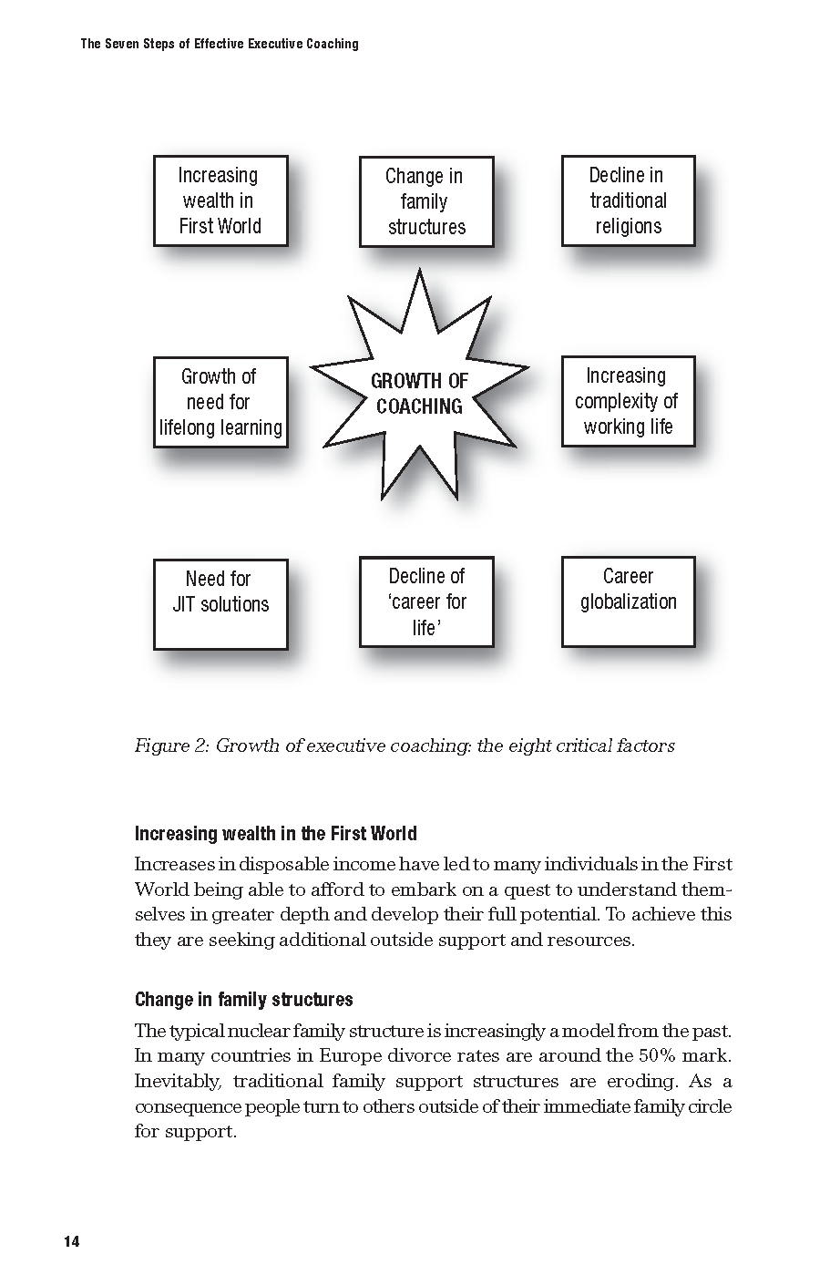 The 7 Steps of Effective Executive Coaching - Fireflies