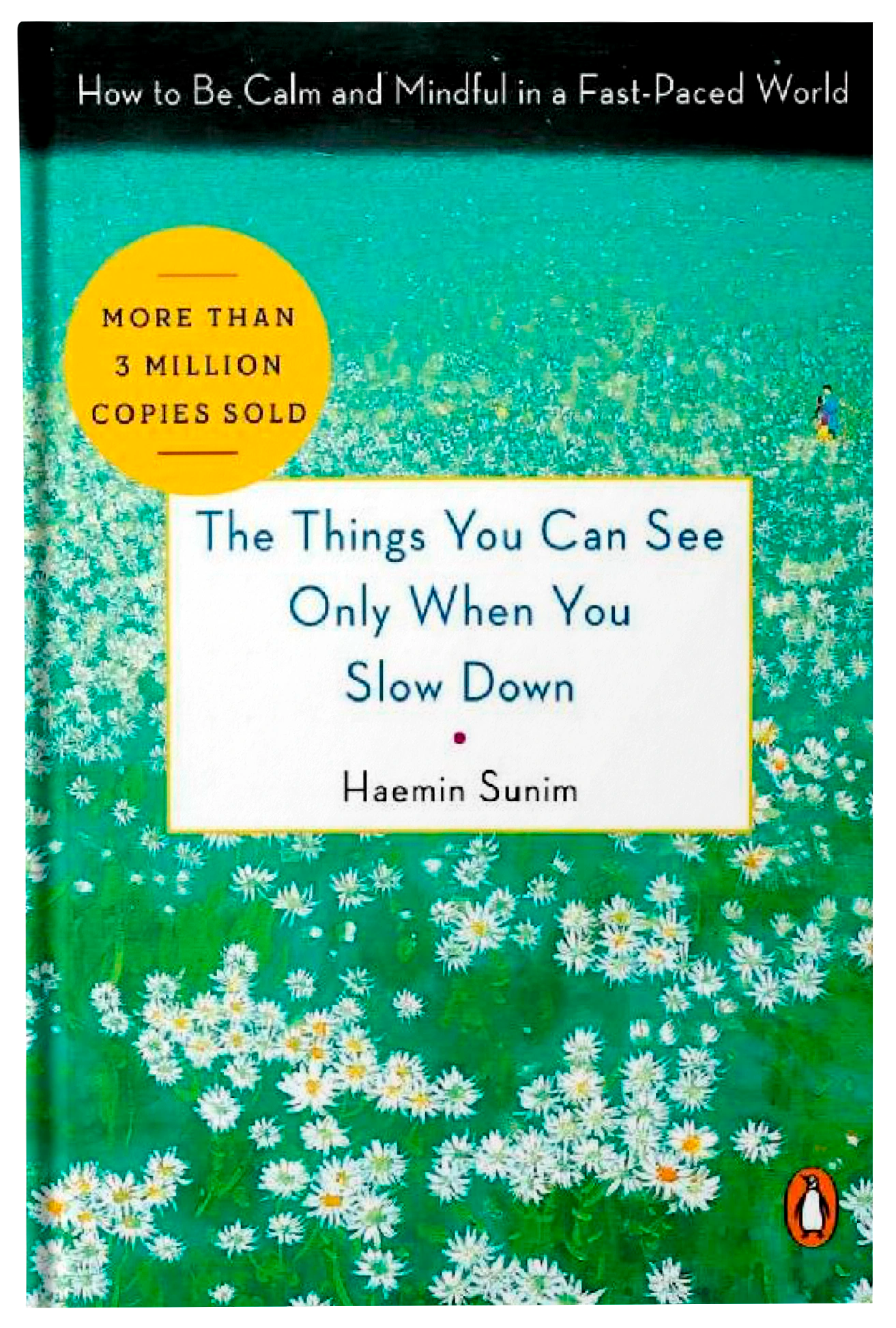 Cover of Fireflies ebook titled "The Things You Can See Only When You Slow Down" with a calming, minimalist design.