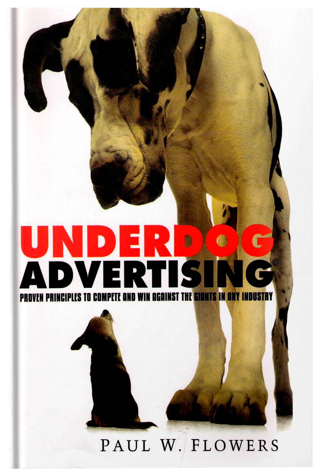 Underdog Advertising - Fireflies