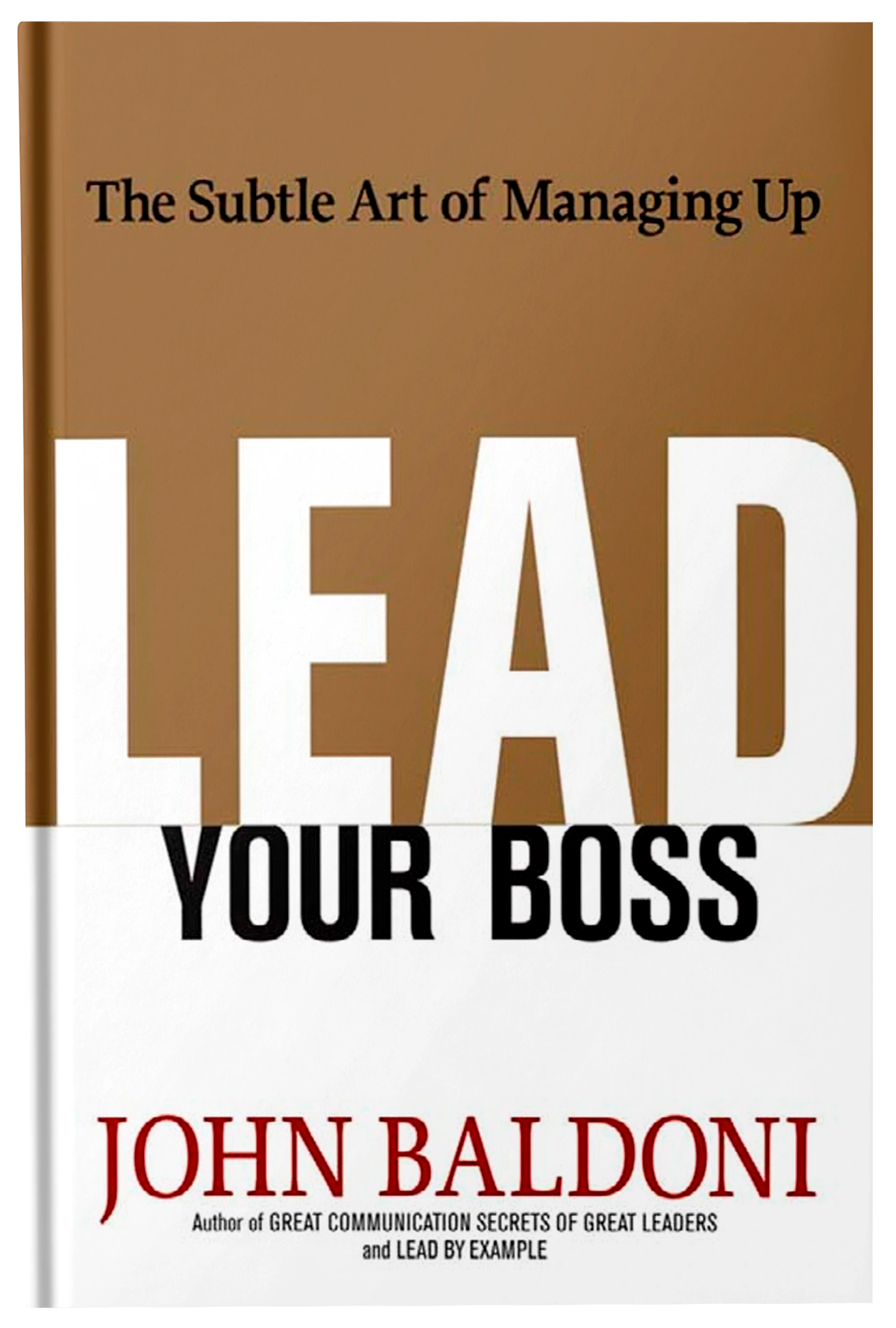 Lead Your Boss - Fireflies